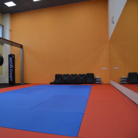 Татами JUDO 160 кг/м³