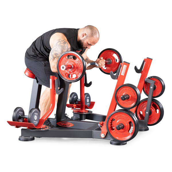 Бицепс с упором в грудь (скамья пастыря - preacher curl) Panatta 1FW512