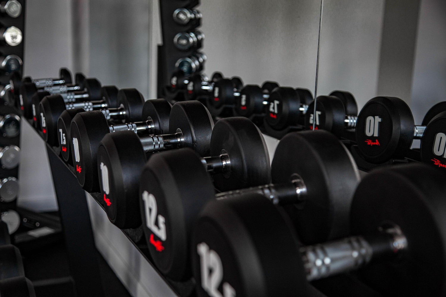 Фитнес-студия "RED FITNESS & WELLNESS"